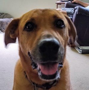 Meet your Posher, Colleen